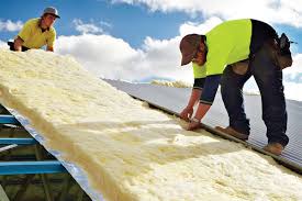 Best Blown-In Insulation  in Downers Grove, IL