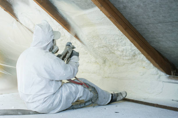 Best Insulation for New Construction  in Downers Grove, IL