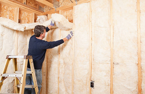 Best Radiant Barrier Insulation  in Downers Grove, IL